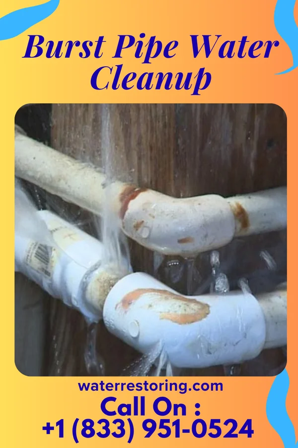 Burst Pipe Water Cleanup in Watsontown, PA