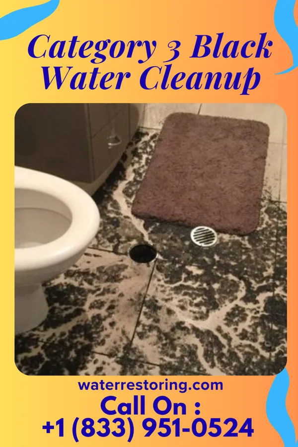 Category 3 Black Water Cleanup in Watsontown, PA