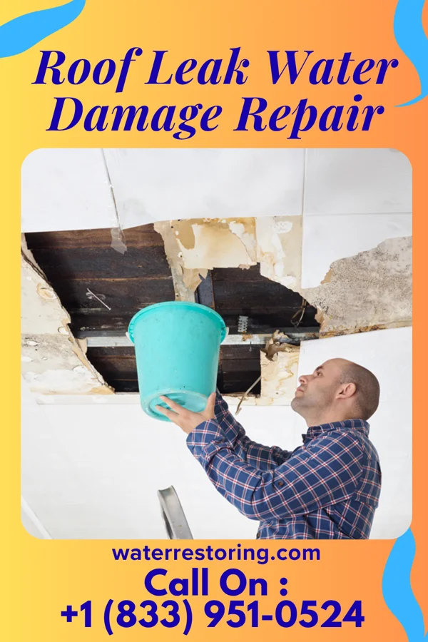 Roof Leak Water Damage Repair in Watsontown, PA
