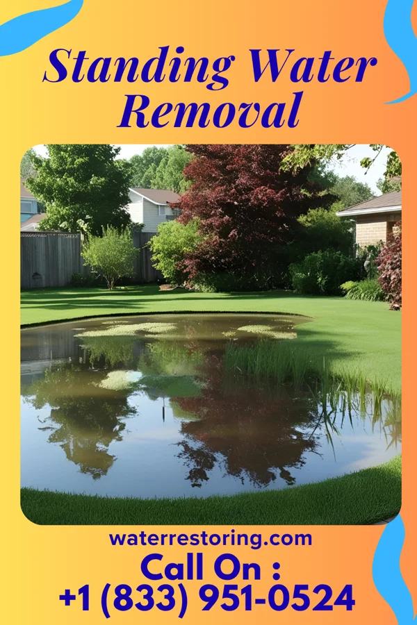 Standing Water Removal in Watsontown, PA